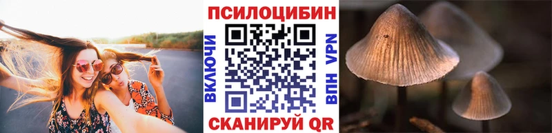 Галлюциногенные грибы Psilocybe  кракен маркетплейс  Мглин 